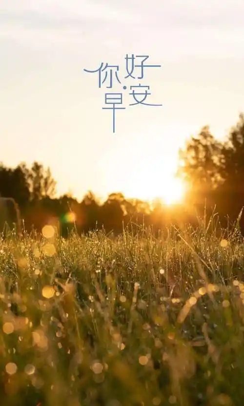 早上好图片 最新图片2022风景 - 早安心语- 不二励志语录