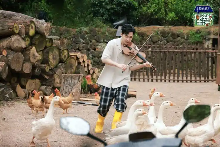 刘宪华回家啦向往的生活回归熟悉的配方蘑菇屋再现名场面