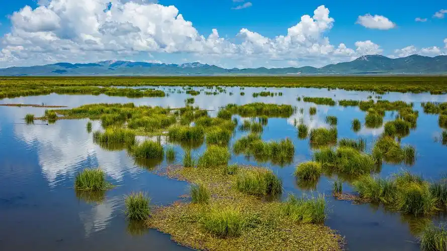 四川若尔盖花湖风景桌面壁纸图片