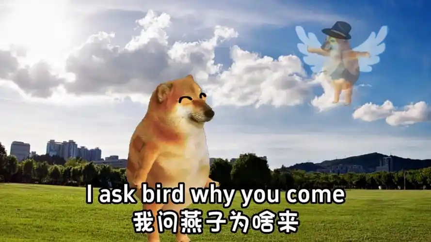 塑料英语之小燕子 #cheems搞笑