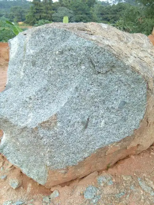 这花岗石为什么有结核?