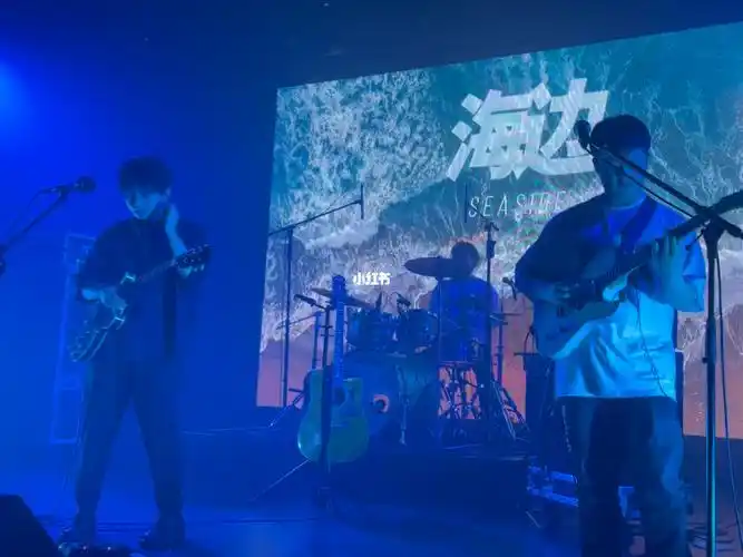 蹦了两天好解压好快乐kiss kiss#帆布小镇  #帆布小镇乐队  #疫情下的