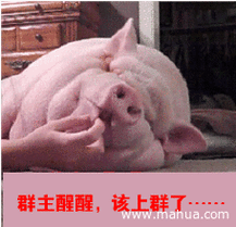 7;岳伦和女儿王诗龄在《爸爸去哪儿》节目中的表现也经常让人捧腹