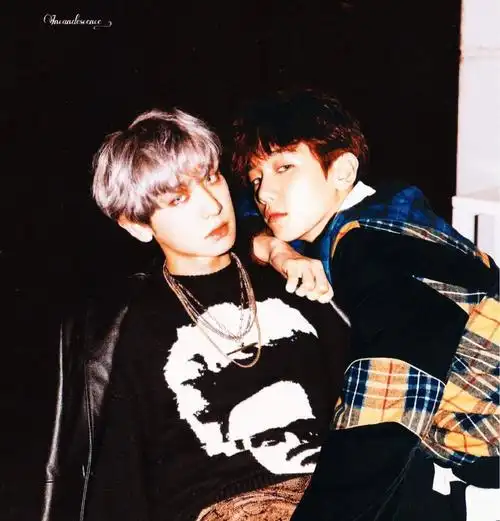 灿白我这个cp脑有人要吗