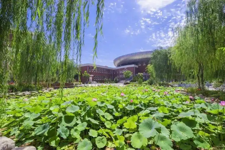 荷颜悦色荷风育人宜川中学生态园林式校园静待你来