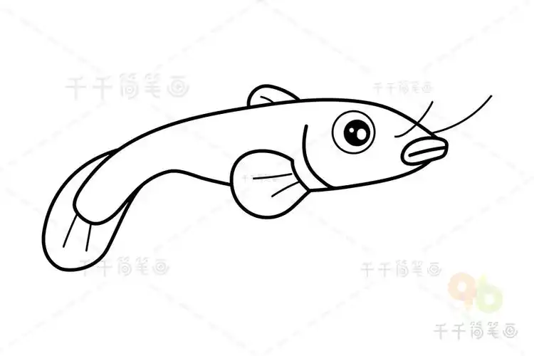 泥鳅简笔画