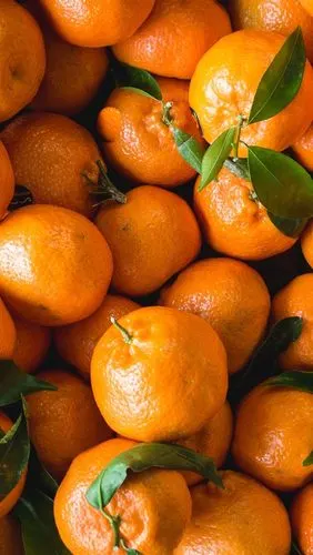 壁纸 许多柑橘,新鲜水果 2880x1800 hd 高清壁纸, 图片, 照片