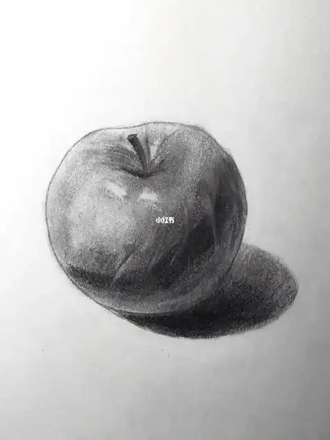 怎么画素描怎么画素描画初级初学者