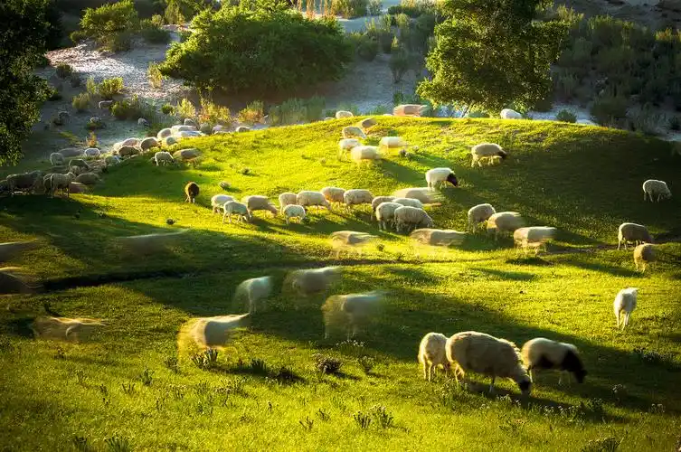 牧羊曲(小红山)