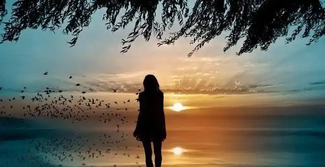 心理测试:这四个背影,你认为哪一个最美?测你这辈子会有怎样的福气