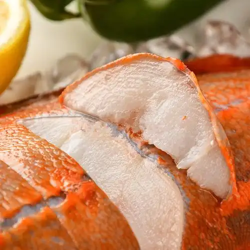 新西兰进口野生长寿鱼253斤新鲜冷冻南极深海橙鲷鱼包空运包邮