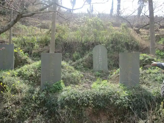 每年清明,傅先庆和他92岁的哥哥都回带上全家人到老坟山扫墓