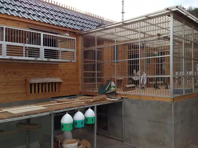 最眼热的棚最好认的棚最斑斓的棚