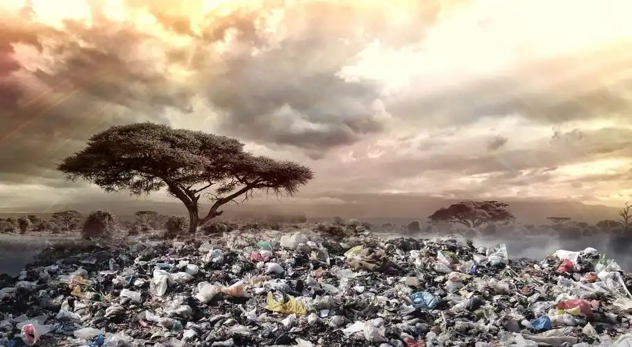 猖獗的塑料垃圾|"白色污染"进攻海洋,塑料微粒进入食物链