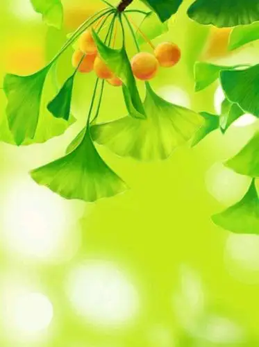 绿色系小清新手机壁纸_高清图集_新浪网