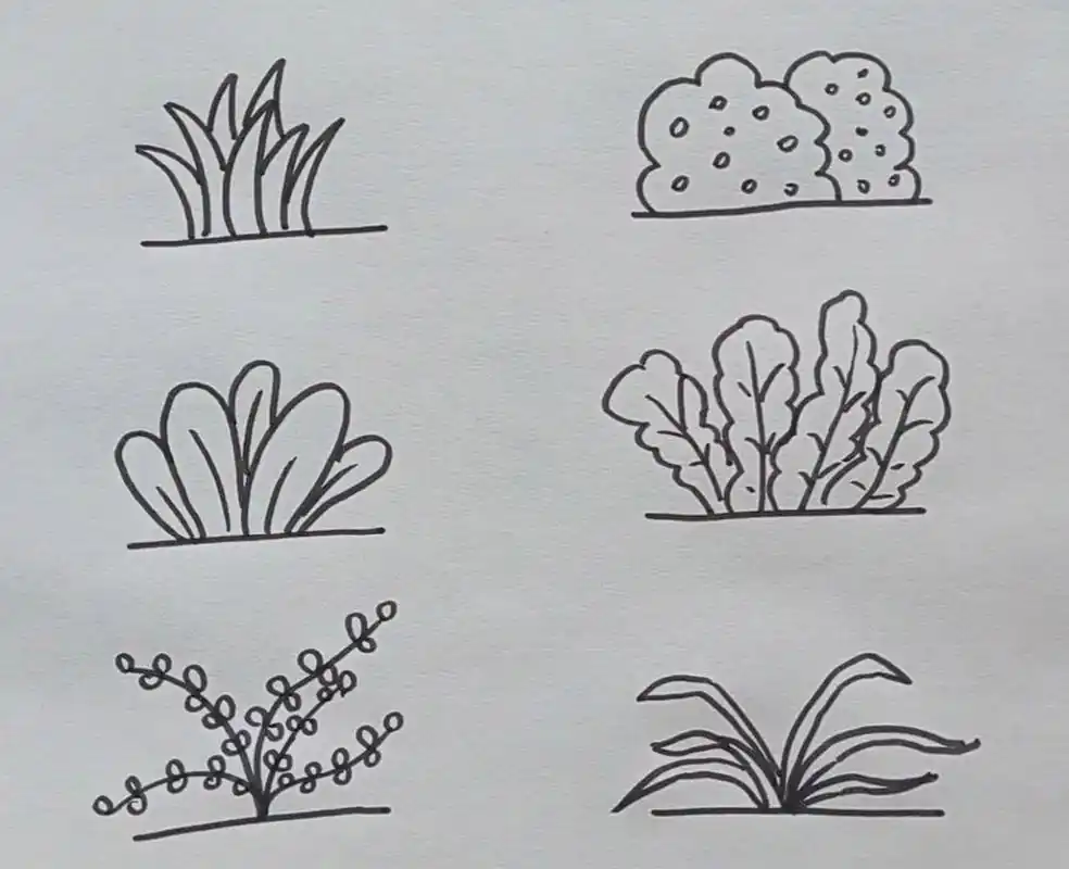 六种小草的简单画法 春天随处可见的小草,你有认真观察过它们的形状吗