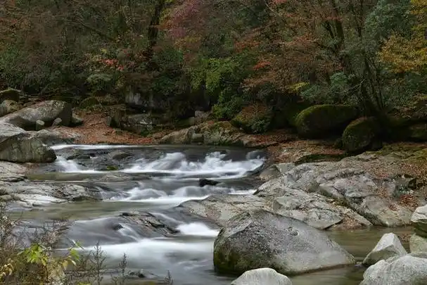 曾家山鸳鸯池森林公园——邂逅秋天的童话