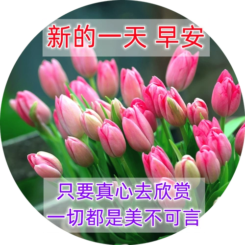 9张最新清新漂亮早上好图片带祝福语 冬日清晨早上好问候语温馨句子