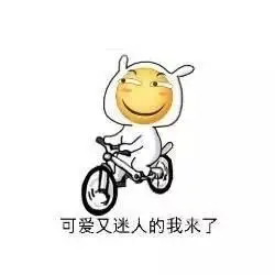 滑稽骑自行车可爱又迷人的我来了滑稽迷人可爱表情