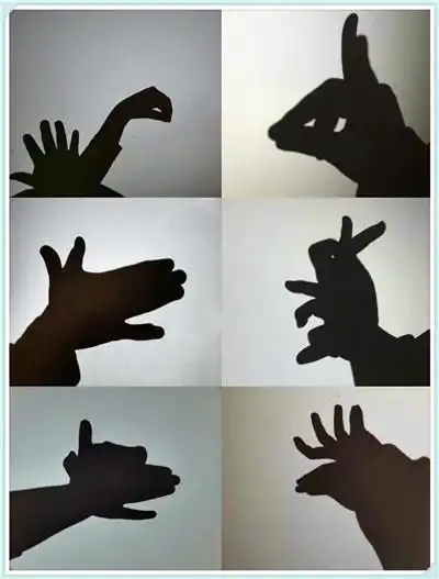 童手稚影演绎神奇动画美的小学学生居家管理之二年级手影游戏实践活动