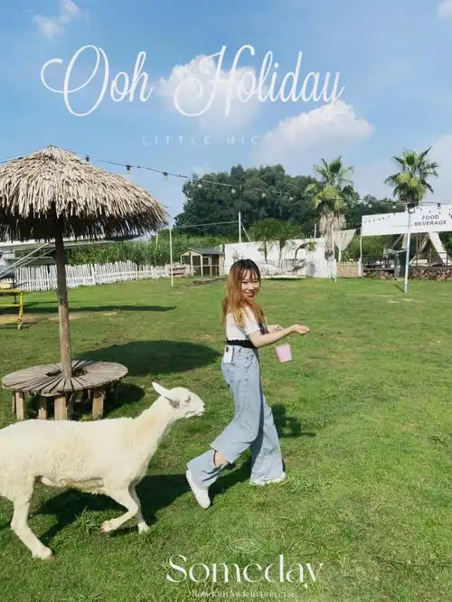 广州探店honeycc绵羊牧场