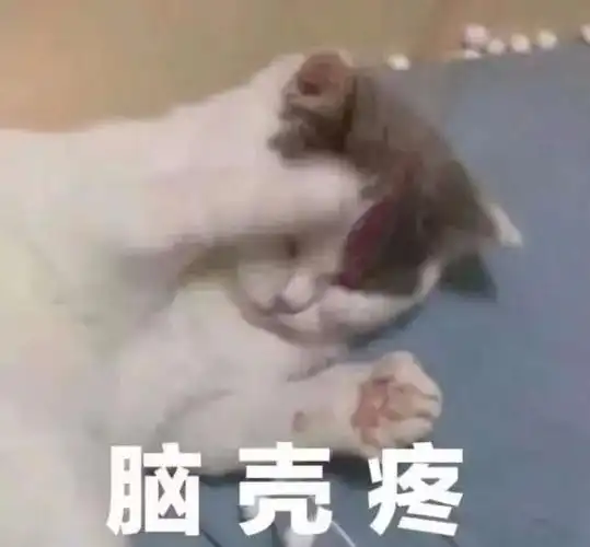 表情包奇怪的网站找到了