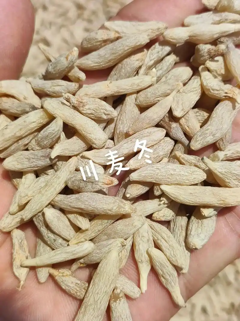 川麦冬#中药材 #滋补养生食材 #中药养生  - 抖音