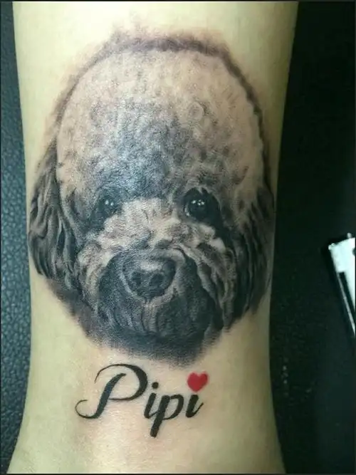 泰迪_纹身图案手稿图片_陈莉的纹身作品集