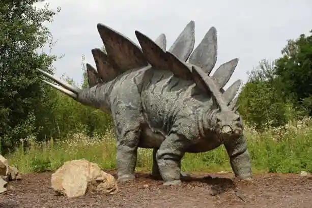 7亿年前的斯凯岛发现了剑龙.它长30英寸(76厘米),重6吨.