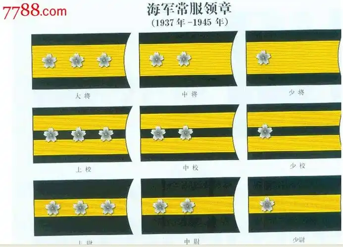 日军/鬼子二战海军中尉尉领章