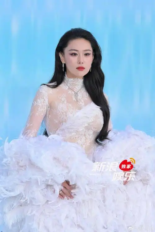 张馨予穿蕾丝半透视礼服亮相elle红毯