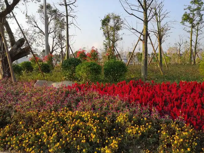 兔兔随手拍——城市绿化