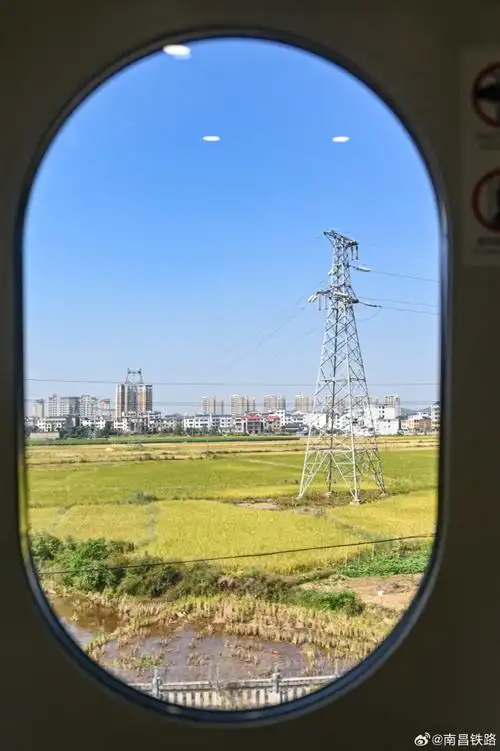 最美高铁线#收获的季节,沿着昌赣高铁一路向北,车窗外,稻田,村庄