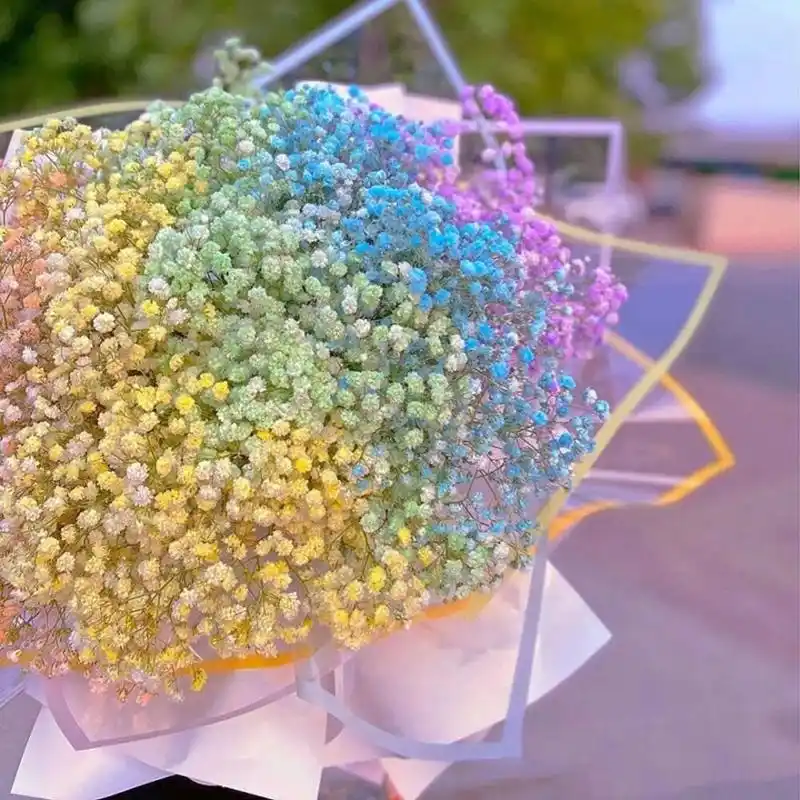 满天星的花语主要有守望爱情和甘愿做配角,只愿在你身边,也代表着思念