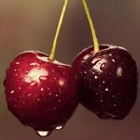 樱桃水果头像