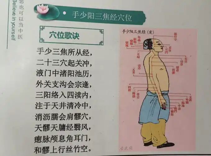 《手少阳三焦经-何为命运》