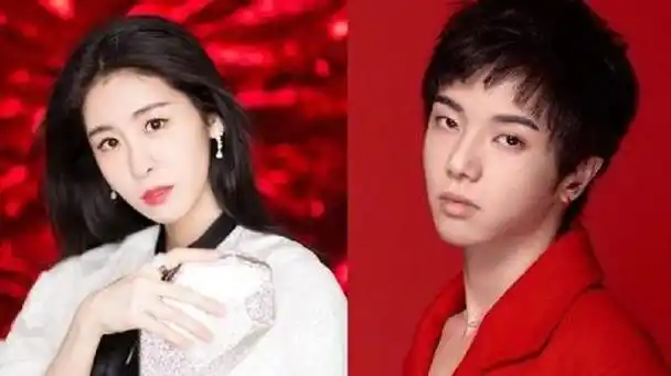 有一种谋算叫张碧晨和华晨宇孩子4岁了才明白这盘大棋