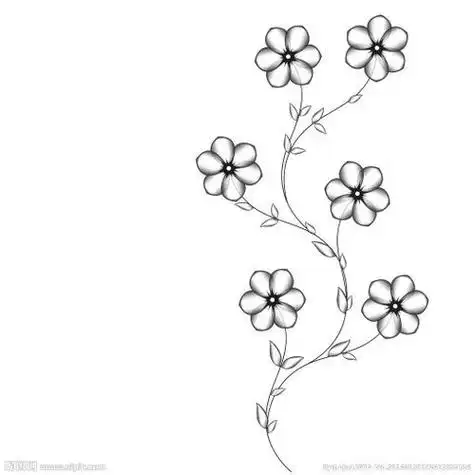 画花边怎么画简单又好看图片 怎么画花边最好看又简单