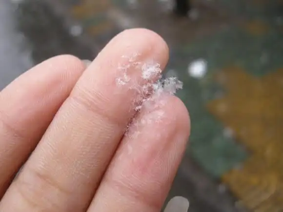 雪花落在我的指尖,仿佛落在我的心间