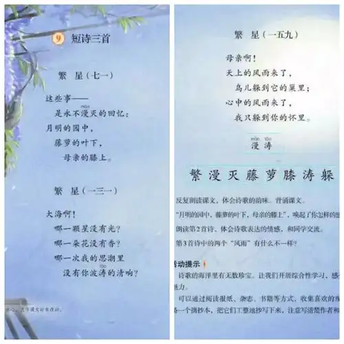 一片"冰心"在玉壶——走进诗集《繁星·春水》