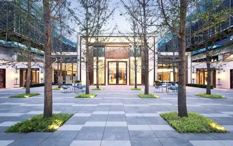 [分享]树阵景观,居然还能这么美!