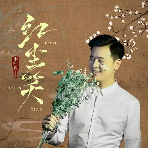 小阿枫红尘笑最新流行