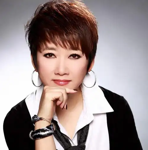 上世纪八,九十年代成为最受公众欢迎的歌手之一:成方圆