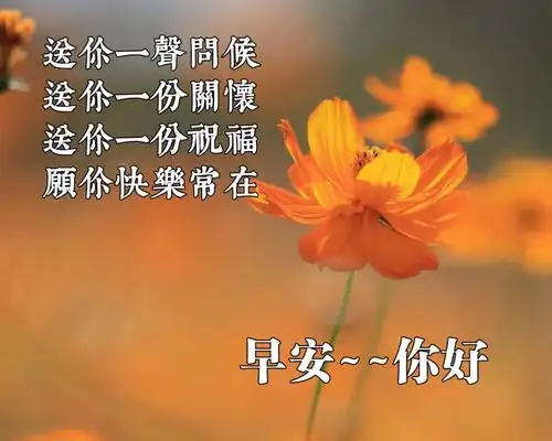 新版早上好问候语图片大全 2021最新早安祝福语带图片_手机搜狐网