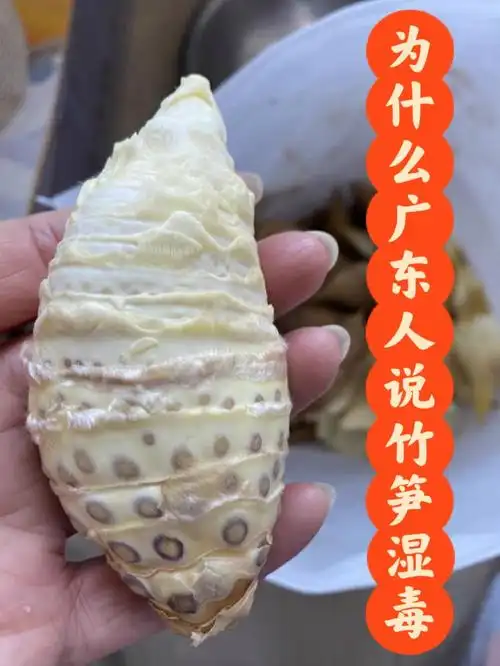 明明很好吃也是植物而已嘛为什么会有毒#烹饪  #竹笋  #美食日常  #我