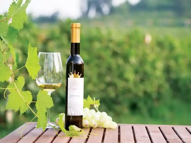 优雅的幸福——冰酒品鉴常识