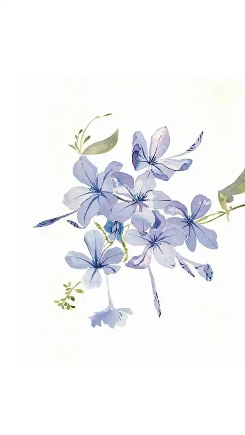 手绘水彩手绘花手绘作品