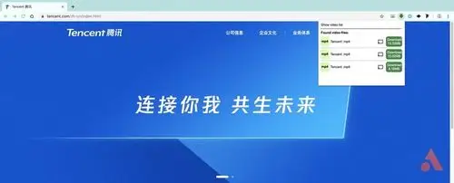 video downloader professional:自动抓取网页视频