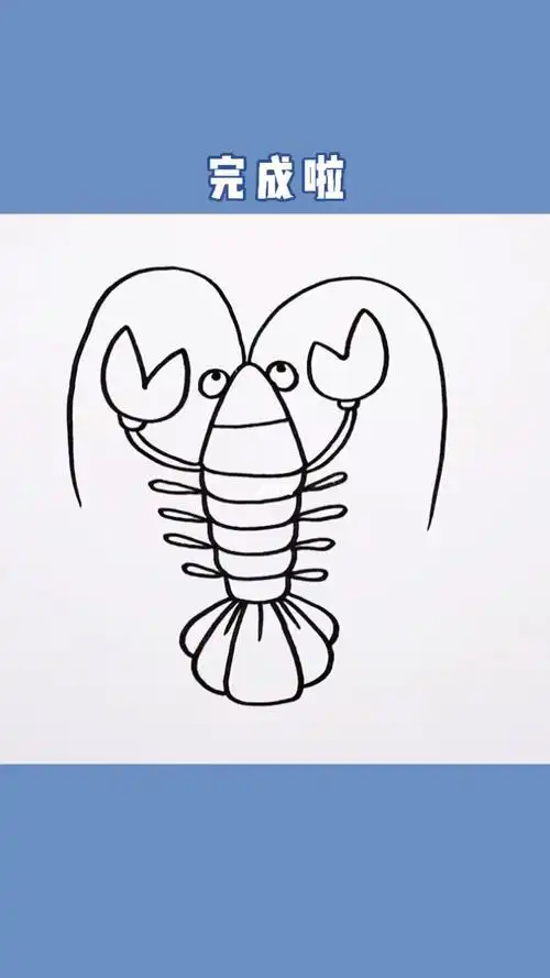 虾简笔画图片螳螂虾简笔画图片