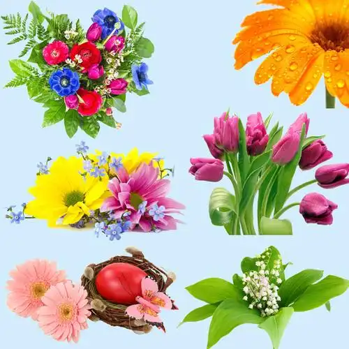 鲜花ps分层素材设计元素素材免费下载(图片编号:7847658)-六图网